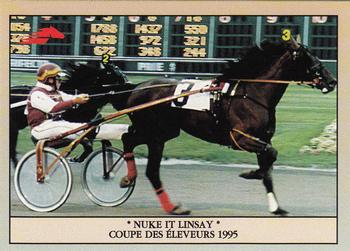 1996 Hippodrome de Montreal #31 Nuke it Linsay - Coupe des Éleveurs 1995 Front